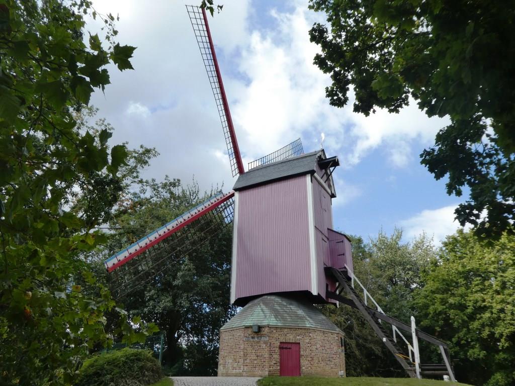 Brügge - De Nieuwe Papegaal - 2019
